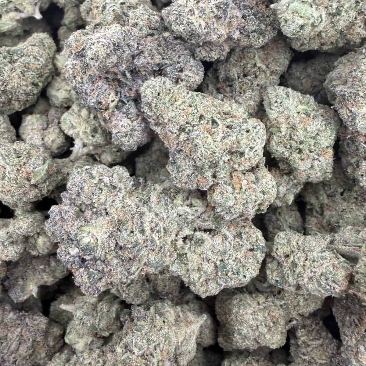 Lemon Head - Image 2