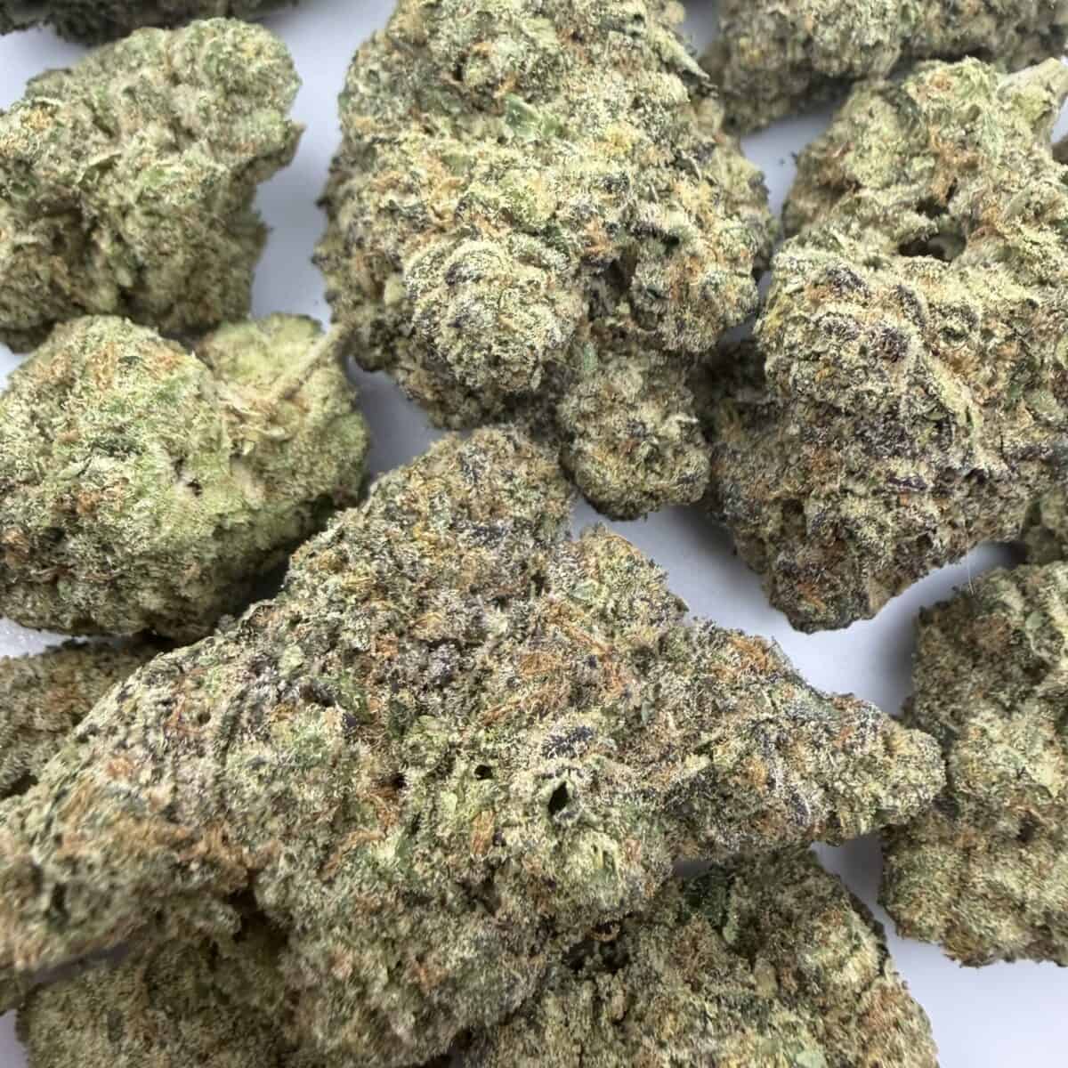Jack Herer - Image 2