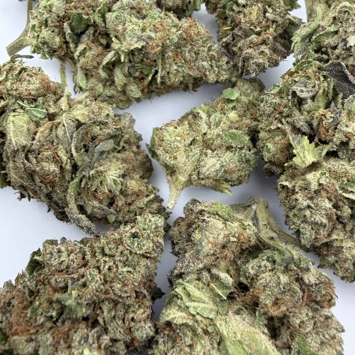 Blue Dream - Image 2