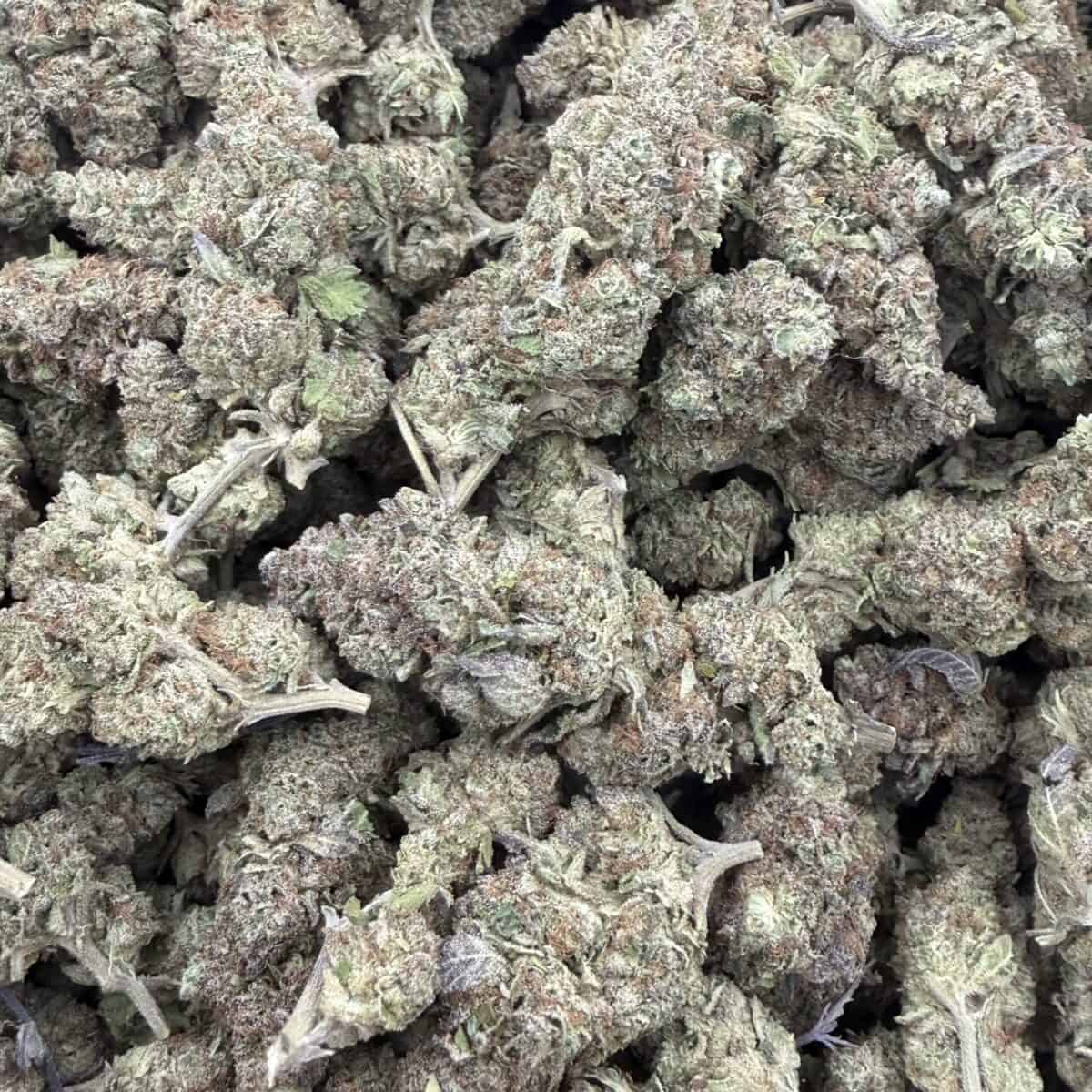 Blue Dream - Image 3
