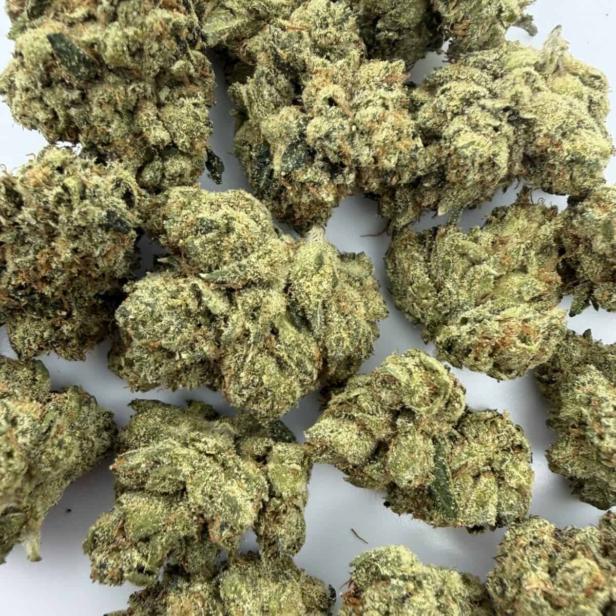 OG Kush - Image 2