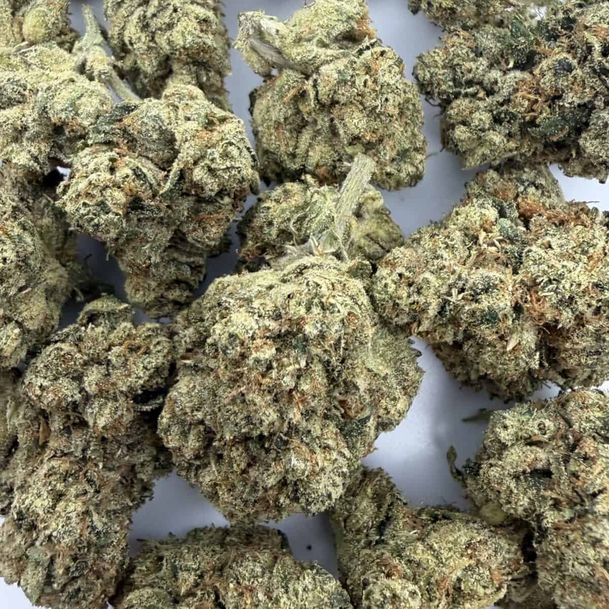 Jet Fuel OG - Image 2