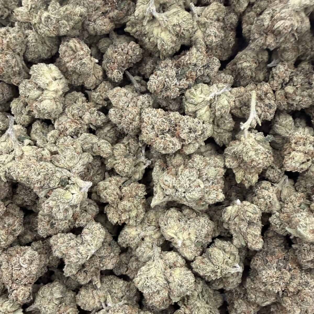 Jet Fuel OG - Image 3