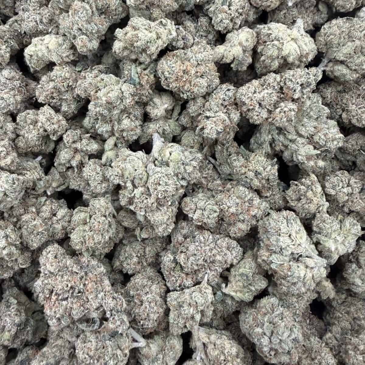 OG Kush - Image 3