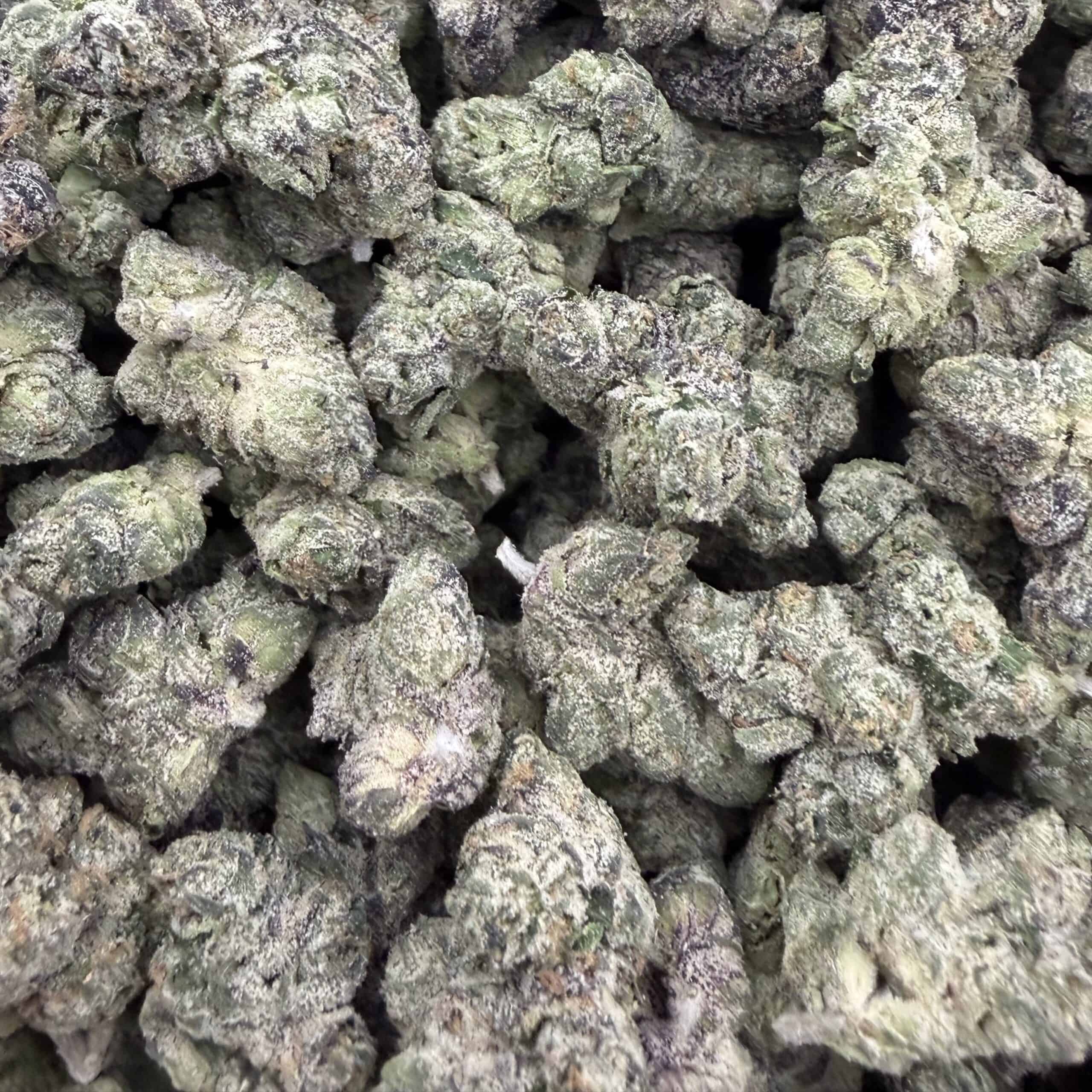 Gelato #33 - Image 3