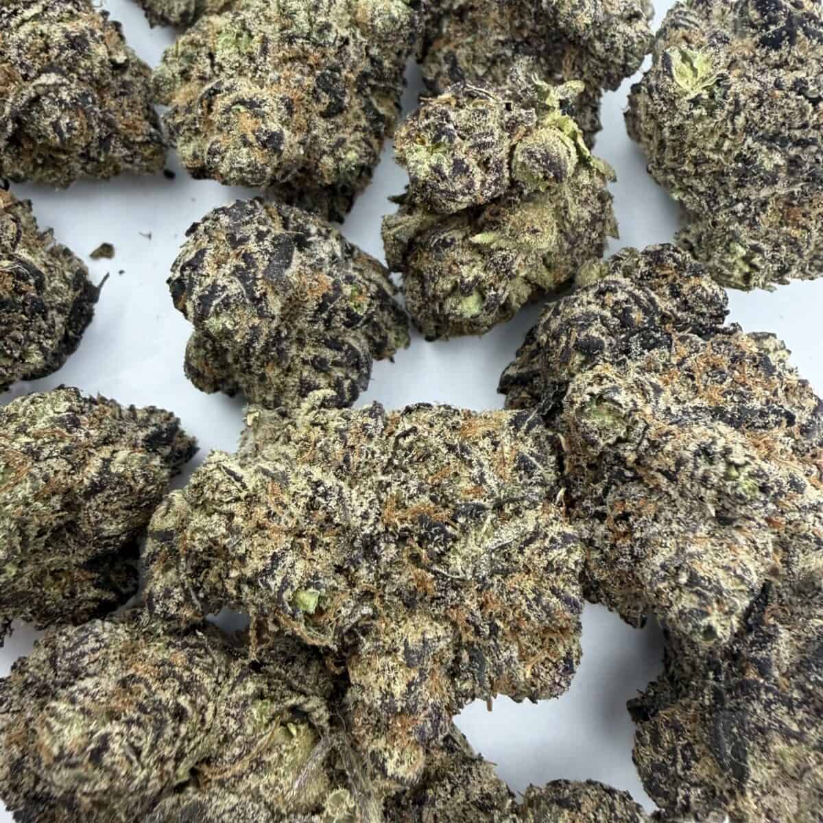 Purple Punch - Image 2