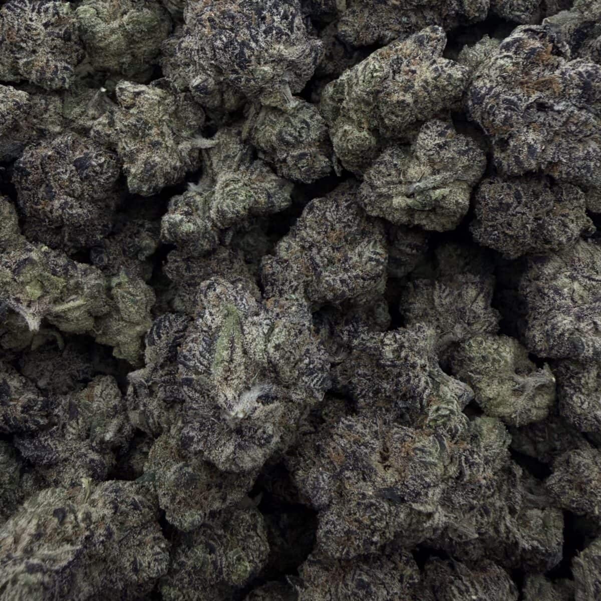 Purple Punch - Image 3