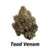 Toad Venom premium indoor THCA flower