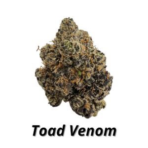 Toad Venom premium indoor THCA flower
