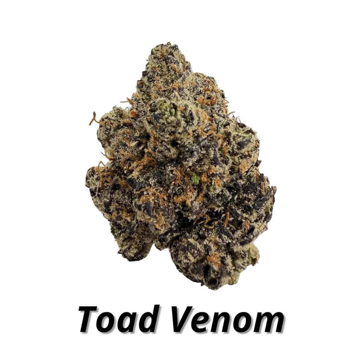 Toad Venom premium indoor THCA flower