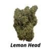 Lemon Head (Ounce Deal)