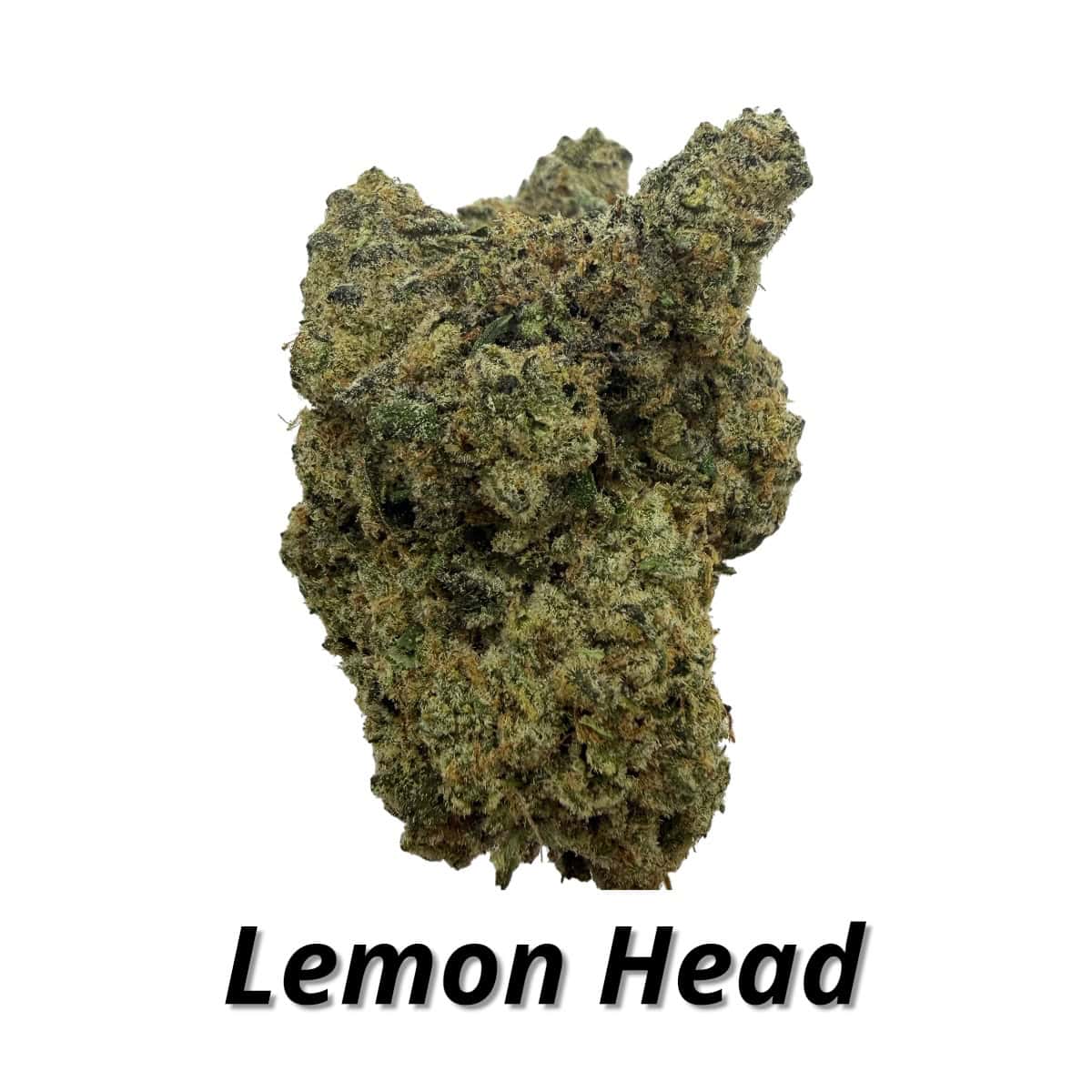 Lemon Head