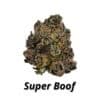 Super Boof