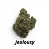 Jealousy