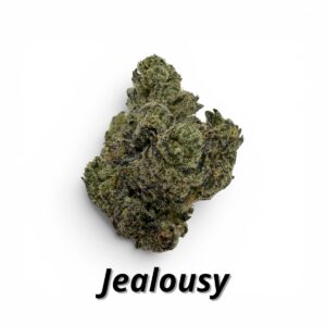Jealousy